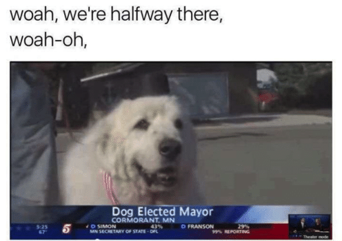 Dog Elected Mayor Again Meme